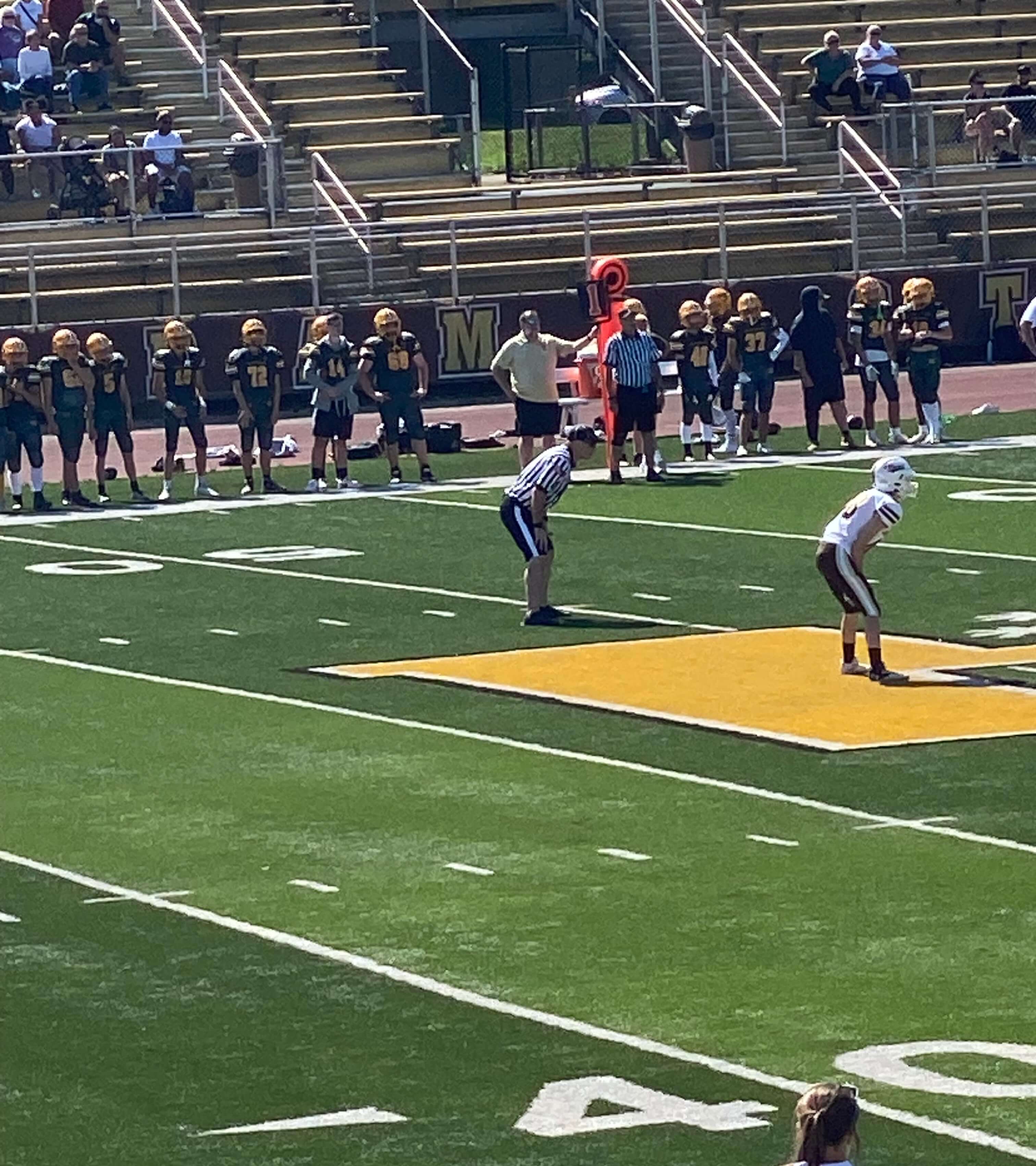 PIAA Football Referee